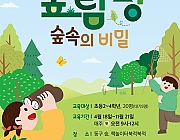 숲탐정:숲속의비밀